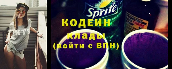 дживик Ельня