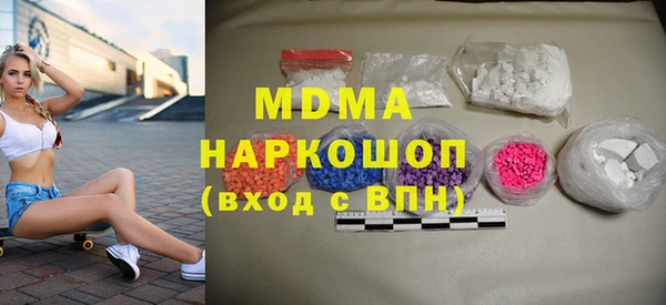 дживик Ельня