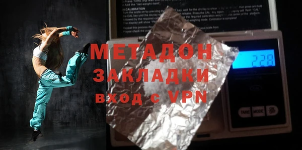 дживик Ельня