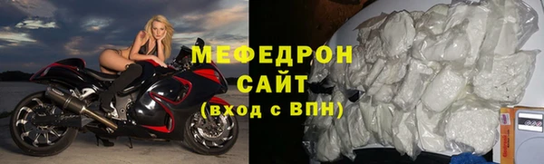 дживик Ельня