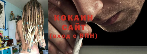 дживик Ельня