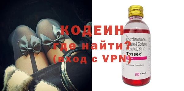 дживик Ельня