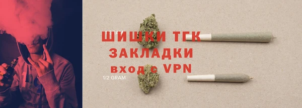 дживик Ельня
