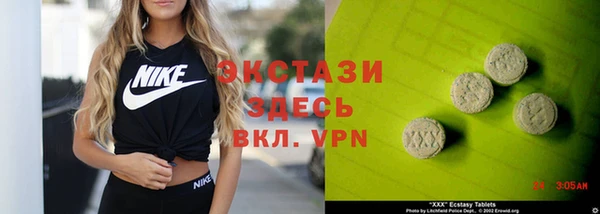дживик Ельня