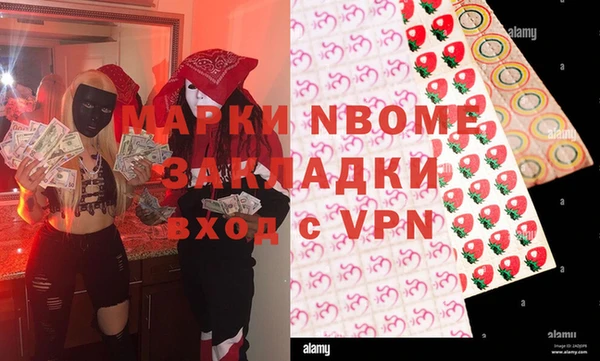 дживик Ельня