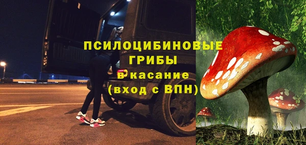 скорость Елизово