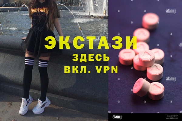 дживик Ельня