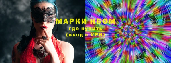 дживик Ельня