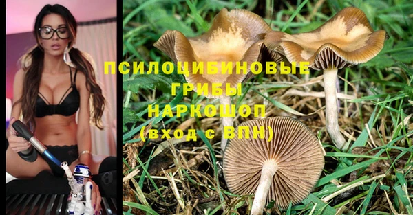 синтетический гашиш Елабуга