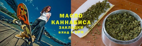 дживик Ельня