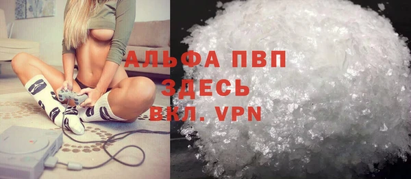 дживик Ельня