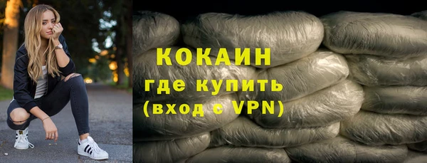 дживик Ельня