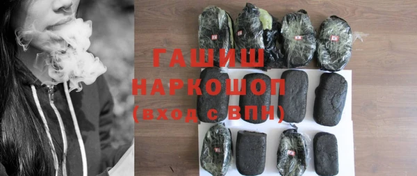 дживик Ельня