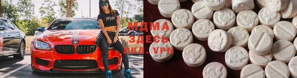 дживик Ельня